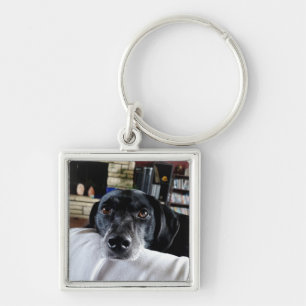 Chaveiro Adicione sua foto de cão a isso
