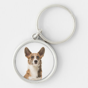Chaveiro Adorável Cardigan Welsh Corgi Cachorrinho Amante