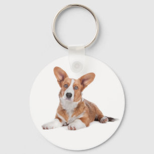 Chaveiro Adorável Cardigan Welsh Corgi Cachorrinho Amante d