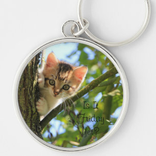 Chaveiro Adorável Kitten. É Sexta-Feira Ainda?