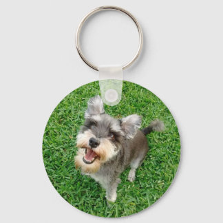 Chaveiro Adorável miniatura Schnauzer pronto para tocar