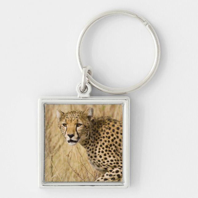 Chaveiro África. Quênia. Chita em Samburu NP. (Frente)