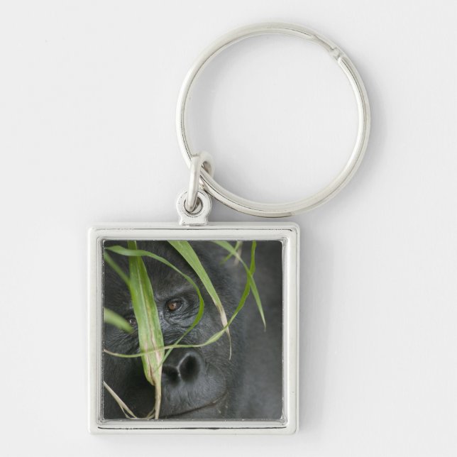 Chaveiro África, Uganda, Bwindi (Frente)