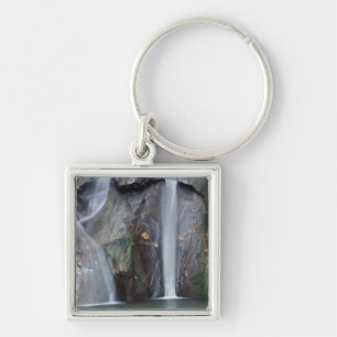 Chaveiro África, Uganda, floresta impenetrável de Bwindi,
