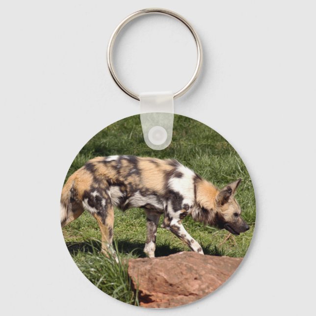 Chaveiro africano-selvagem-cão-010 (Frente)