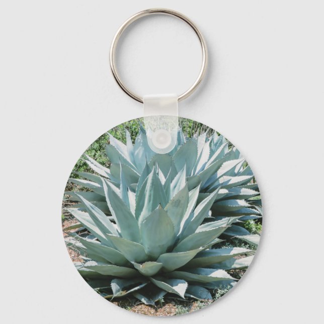 Chaveiro Agave Succult Plant Cactus Green Sage (Frente)
