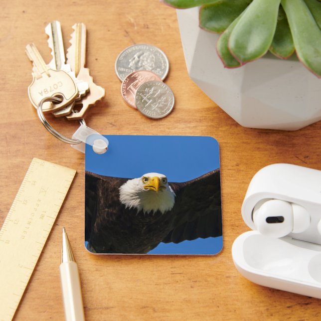 Chaveiro Águia Americana passa voando perto (Mesa)
