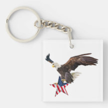 Águia-careca bandeira dos EUA