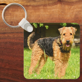Chaveiro Airedale Terrier Puppy Dog