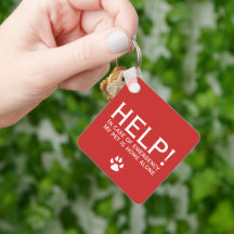 Ajudar o pet home sozinho contato de emergência pe