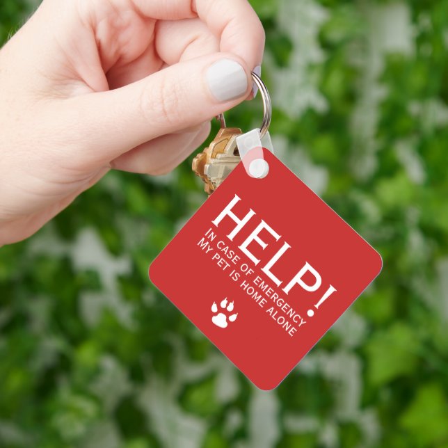 Chaveiro Ajudar o pet home sozinho contato de emergência pe (Mão)