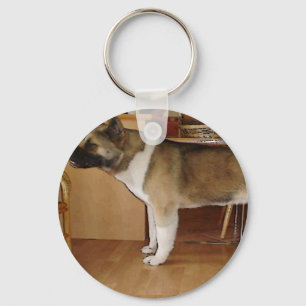 Chaveiro Akita