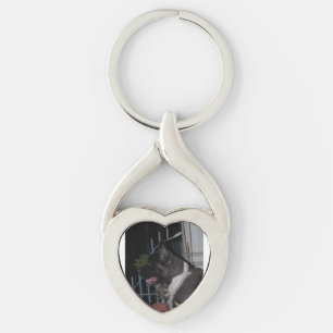 Chaveiro akita 2