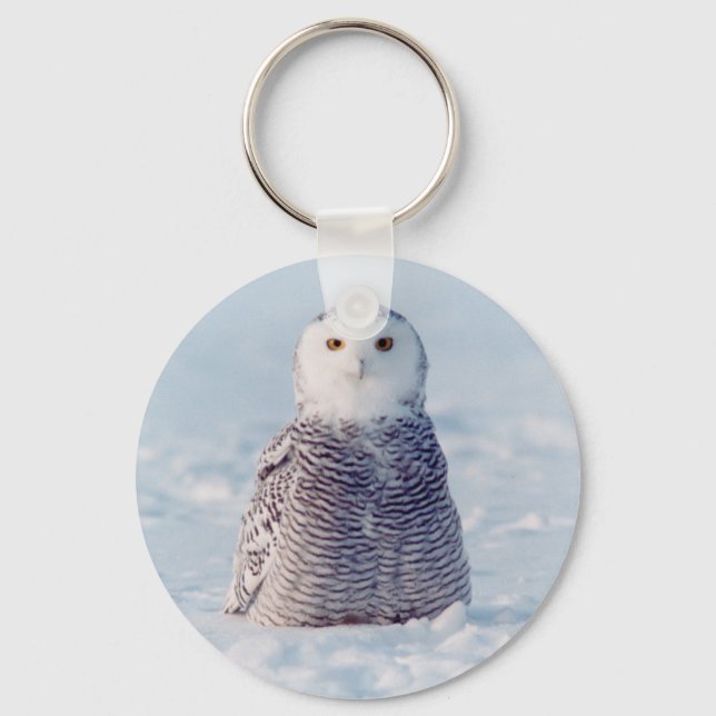 Chaveiro Alaska Artic Winter Snowy Owl (Frente)