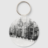 Alaska Dog Sledim