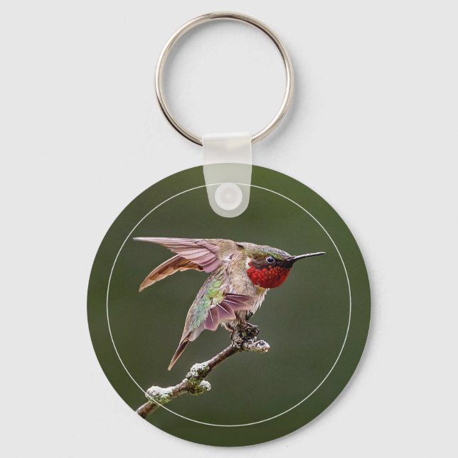 Chaveiro Alcance Hummingbird Esticado W/Fronteira (Frente)