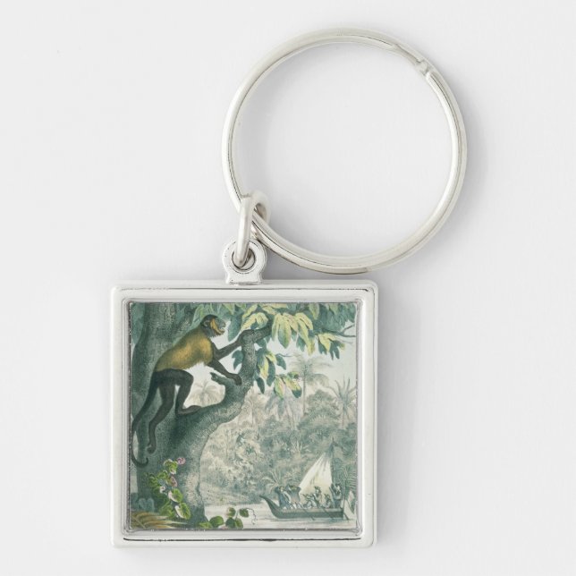 Chaveiro Alcances superiores do Amazon, 'do der do DAS Buch (Frente)