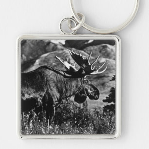 Chaveiro Alces 1970 do touro dos EUA Alaska do vintage