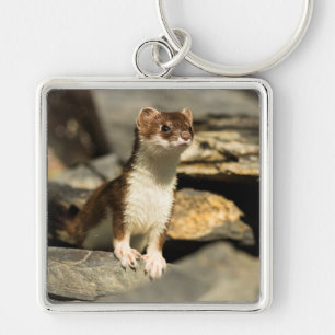 Chaveiro Alerta Weasel
