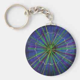 Chaveiro ALICE (um grande experimento com coletor de íons)