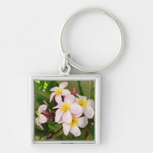 Chaveiro Aloha o Frangipani havaiano floresce chá de panela