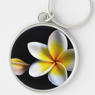 Chaveiro Aloha o Frangipani havaiano floresce Plumerias
