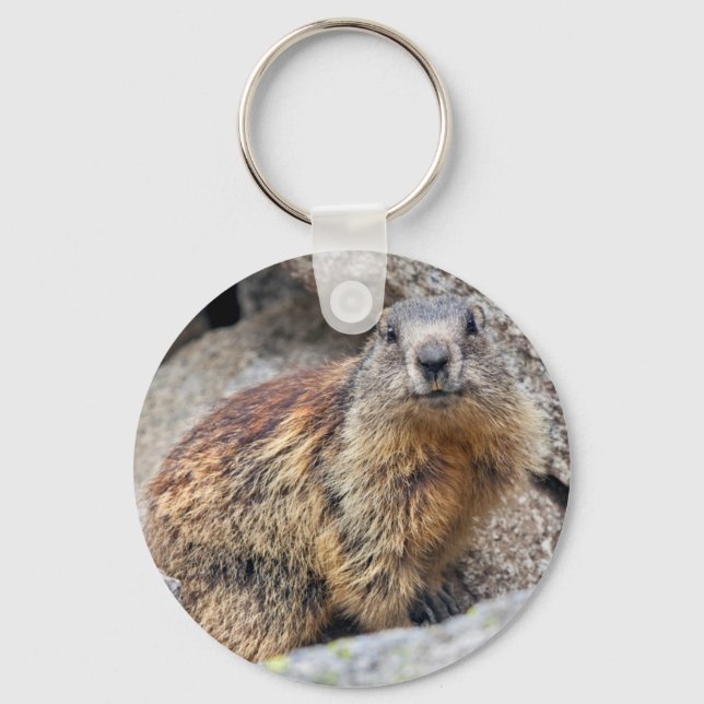 Chaveiro Alpino Marmot Keyring (Frente)