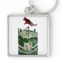 Alsaciano, Westie Pintando Cachorro Agilidade