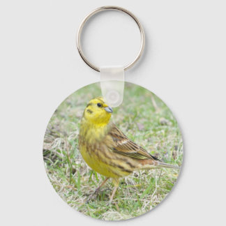 Chaveiro Amarelo do Yellowhammer