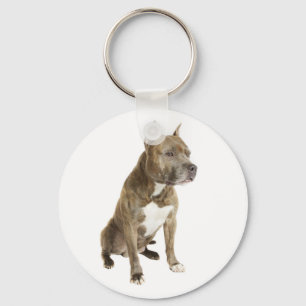 Chaveiro Amarrador de Chaves de Filhote de Cão American Sta