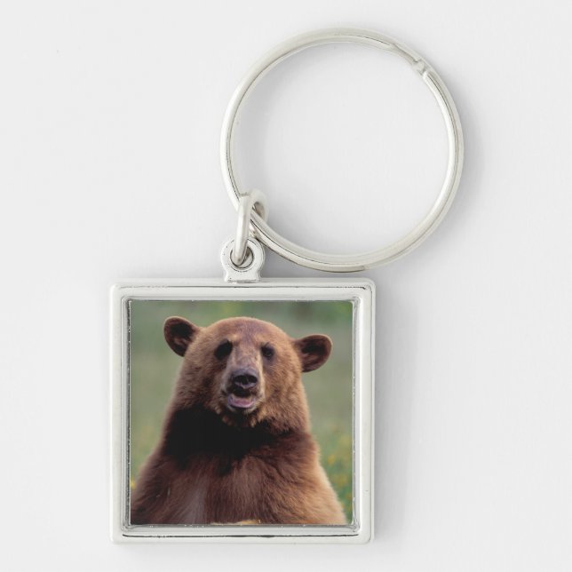 Chaveiro América do Norte, Califórnia, canela Urso Negro (Frente)