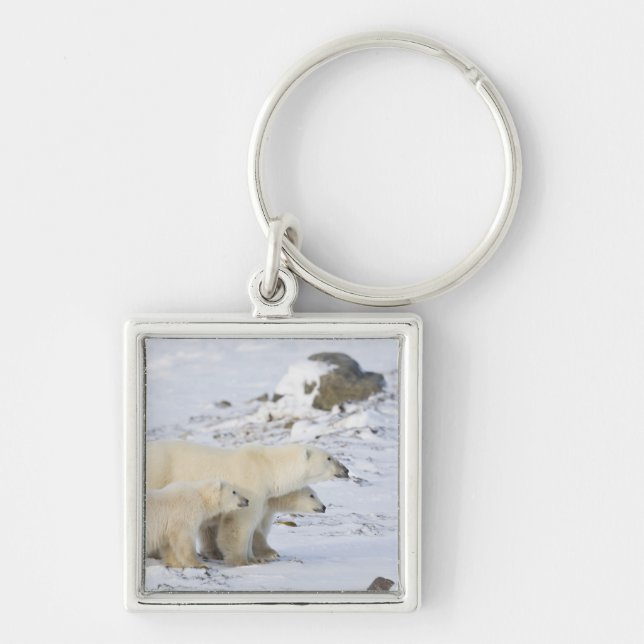 Chaveiro América do Norte, Canadá, Manitoba, Churchill. 4 (Frente)