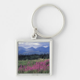 Chaveiro América do Norte, Canadá, Yukon. Flores de mata