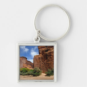 Chaveiro América do Norte, EUA, Arizona, Navajo Índio 5