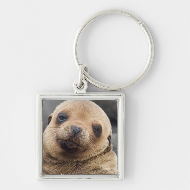 Chaveiro América do Sul, Equador, Ilhas Galápagos (Frente)