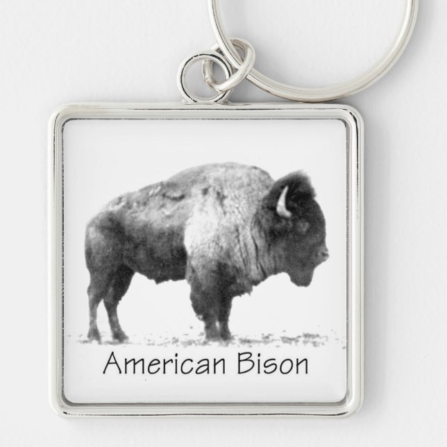 Chaveiro American Bison (Frente)