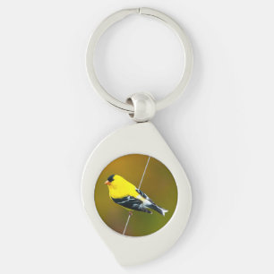 Chaveiro American Goldfinch - Fotografia original