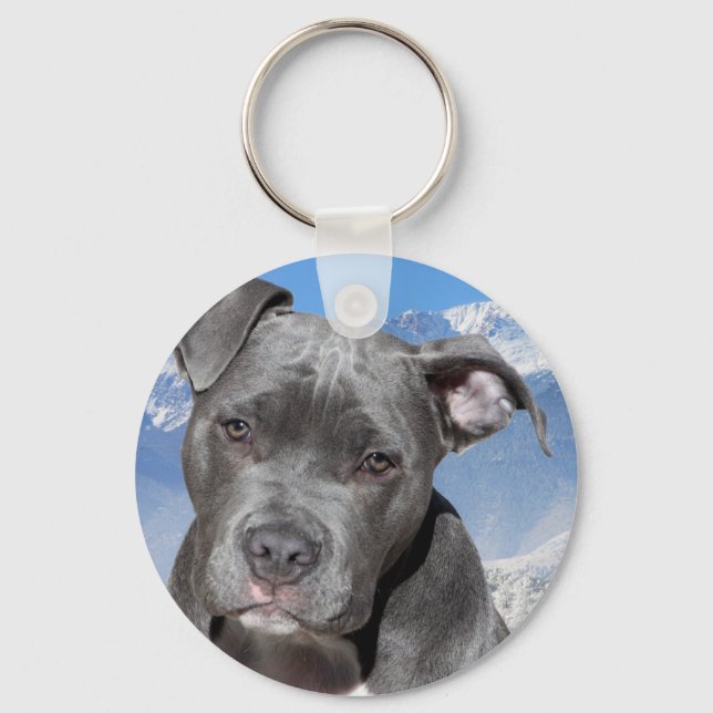 Chaveiro American Pitbull Terrier Puppy Dog (Frente)