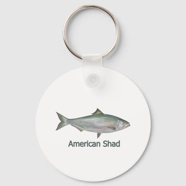 Chaveiro American Shad (em título) (Frente)