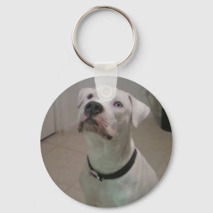 Chaveiro americano do buldogue