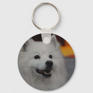 Chaveiro americano do cão Eskimo