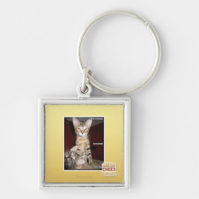 Chaveiro Amigos do idiota (Frente)