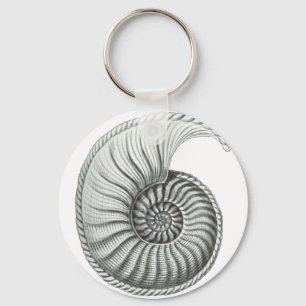 Chaveiro Ammonite
