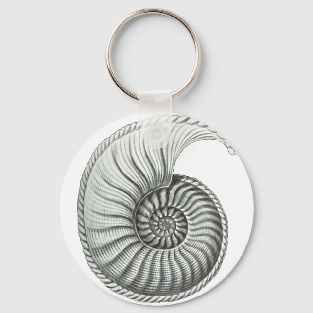 Chaveiro Ammonite (Frente)