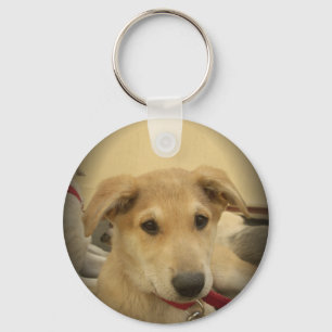 Chaveiro Amor de Cachorrinho: Melhor Amigo do Homem