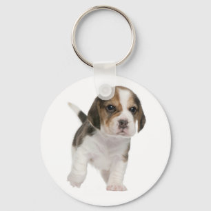 Chaveiro Amor de Cachorro Beagle Filhote