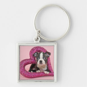 Chaveiro Amor de filhote de cachorro das imagens   de Getty