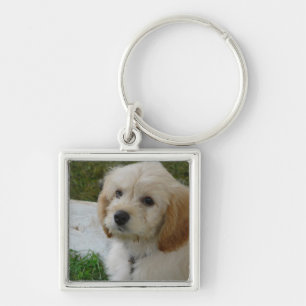Chaveiro Amor de filhote de cachorro - foto bonito do cão