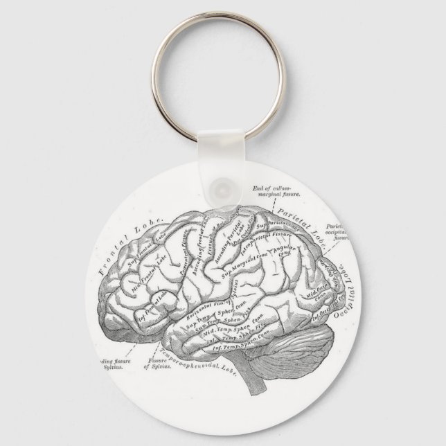Chaveiro Anatomia cerebral Vintage (Frente)