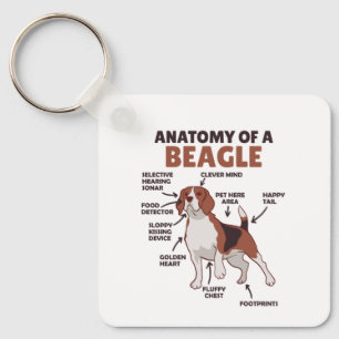 Chaveiro Anatomia De Um Beagle Cute Cães Engraçados